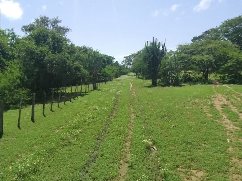 Se vende finca en el paso departamento del cesar - 1