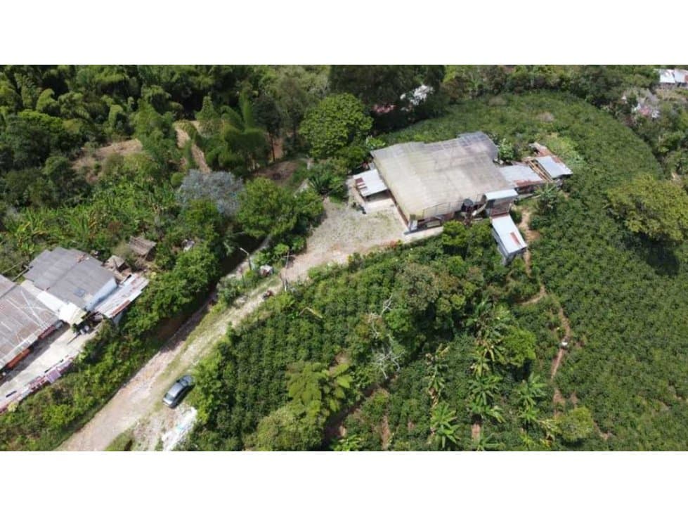 Se vende finca en riosucio caldas - 1