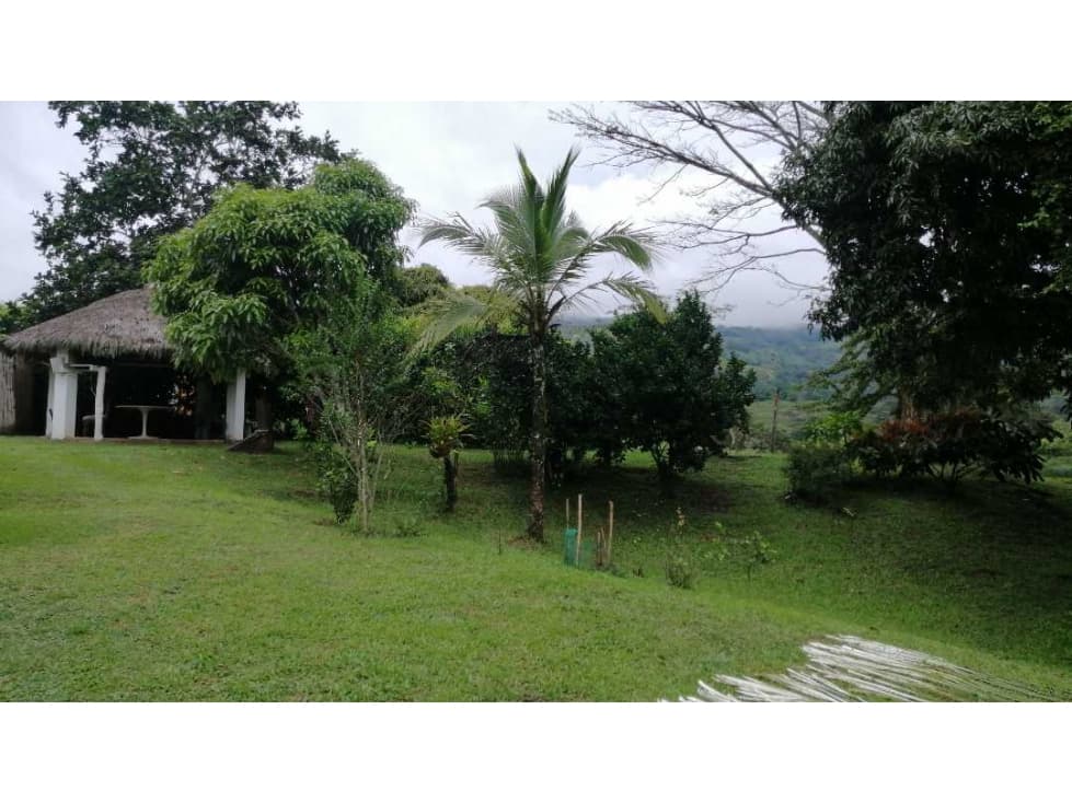 Se vende finca en sector Guaduas Cundinamarca - 1