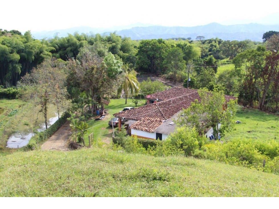 Se vende Finca Piscicola, Belalcazar, Caldas - 1