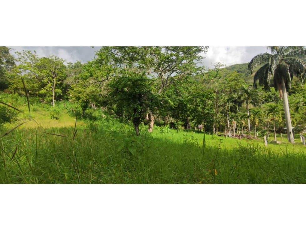 Se Vende Lote 3200m2 a 1km Vía Principal - 1