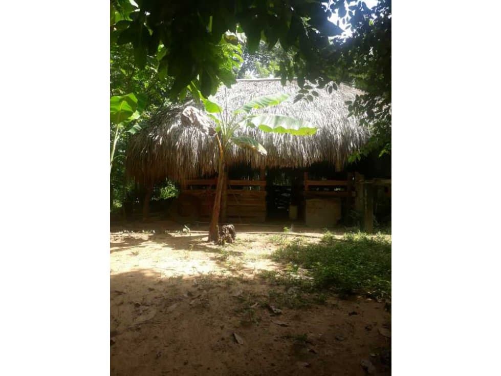 TRES HECTÁREAS EN PATIO BONITO - 1