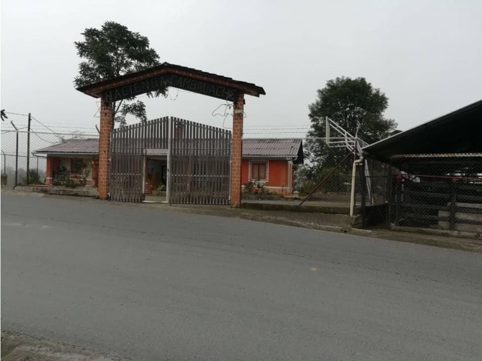 VENDE FINCA PRODUCTIVA VÉLEZ SANTANDER - 1