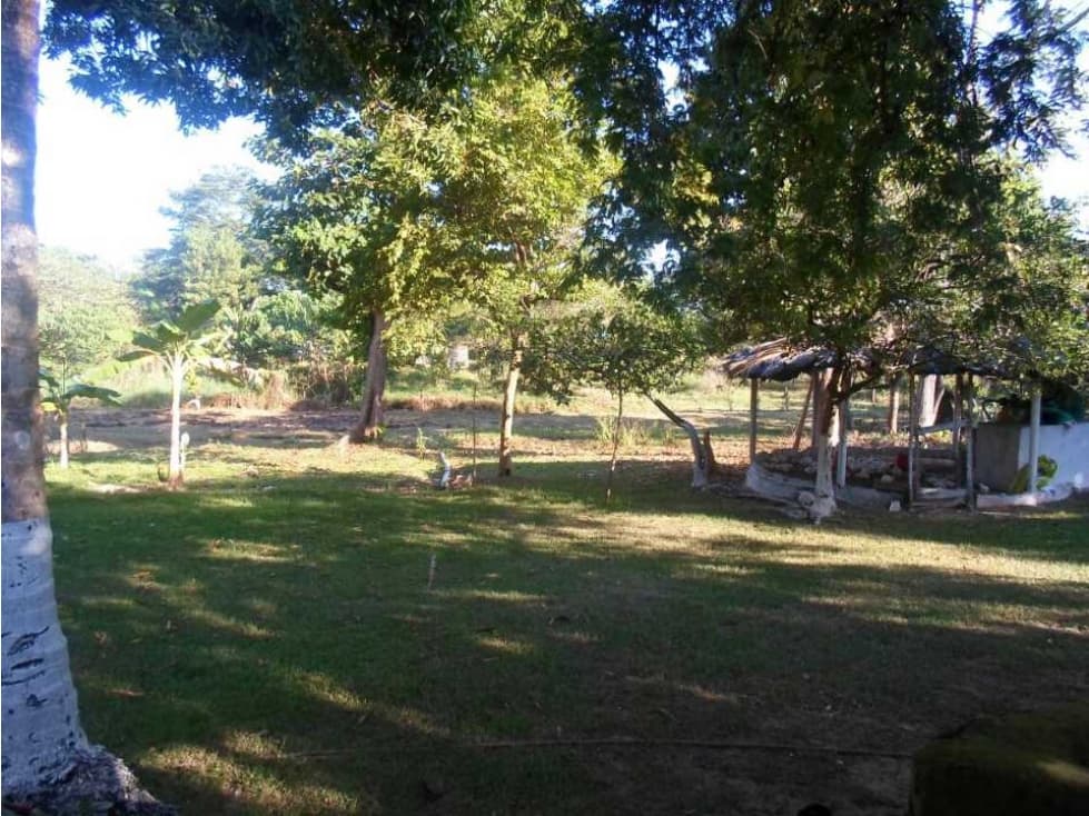 Vendo finca con Motel y piscinas. Excelente inversión, Montelibano. - 1