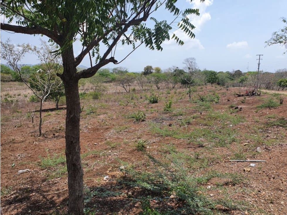 Vendo finca en repelón Atlántico - 1