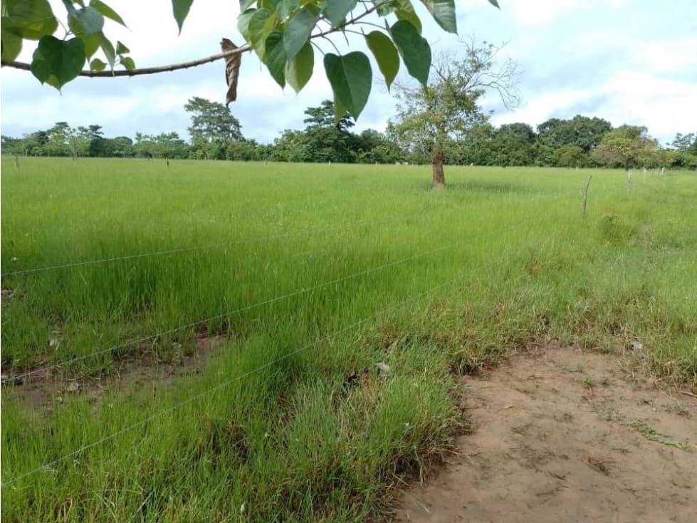 VENDO FINCA EN SAN MARTÍN CESAR, CORREGIMIENTO DE LOS ANGELES CESAR - 1