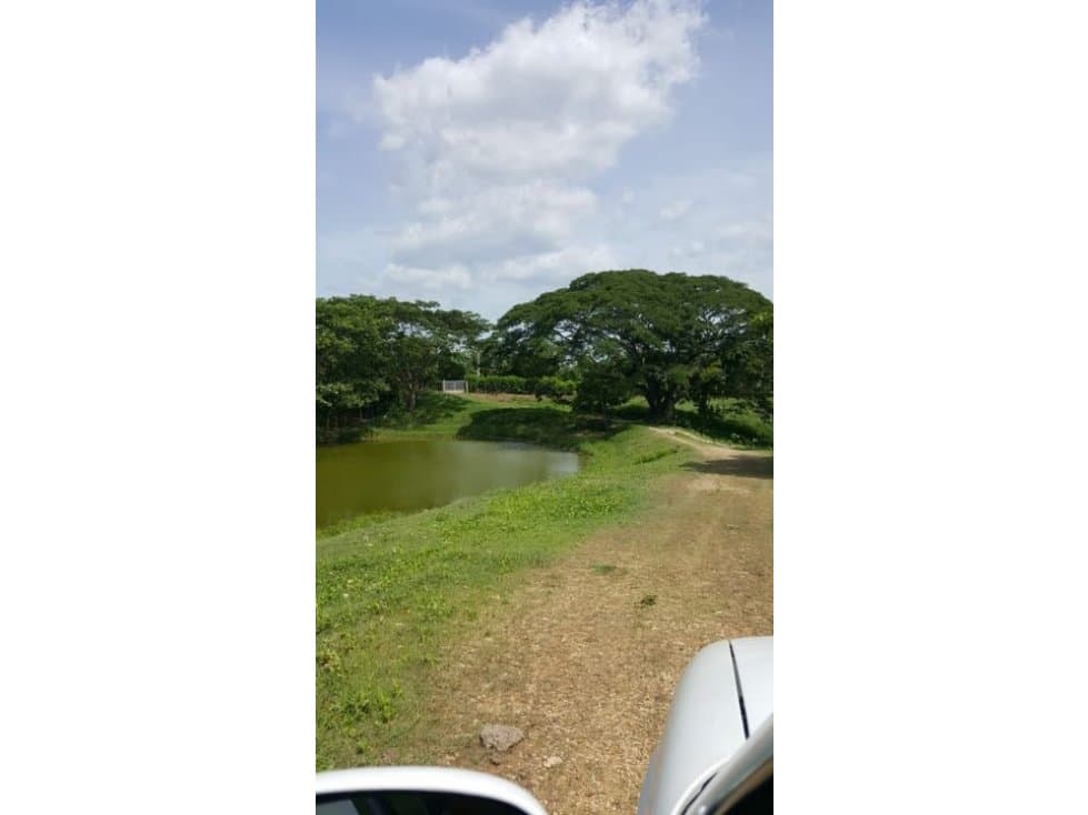 Vendo finca en turbana Bolivar - 1