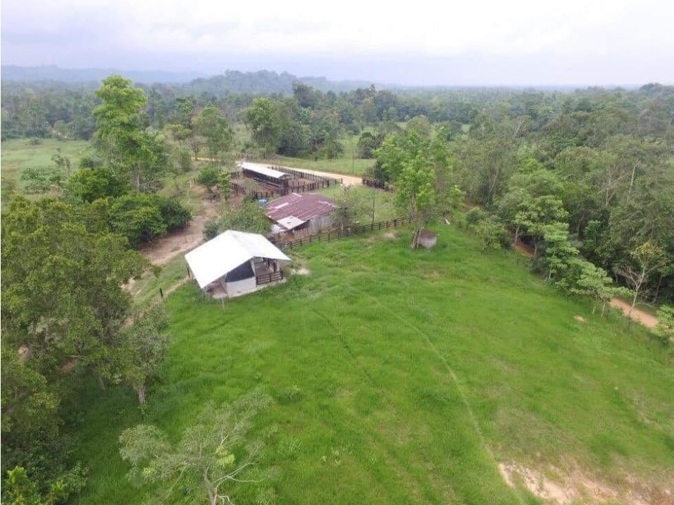 Finca ganadera en venta en el Magdalena medio - 1