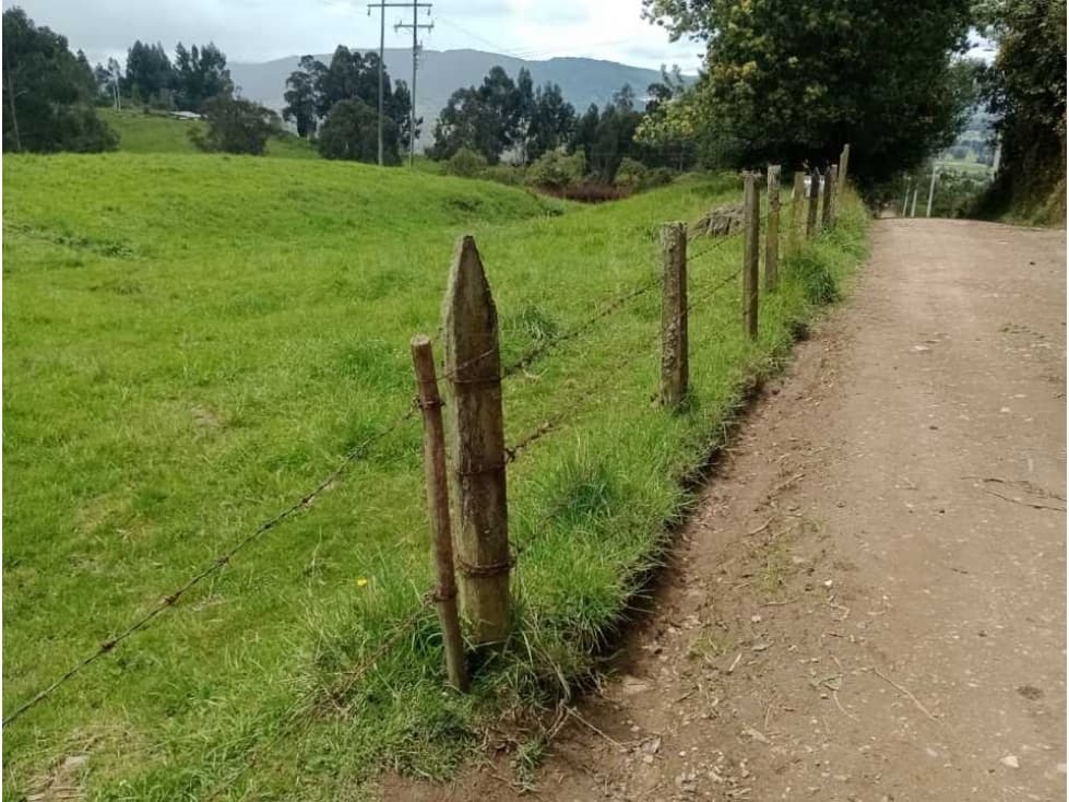 VENDO HERMOSO LOTE 3 FANEGADAS Y MEDIA PLANAS COGUA RODAMONTAL - 1