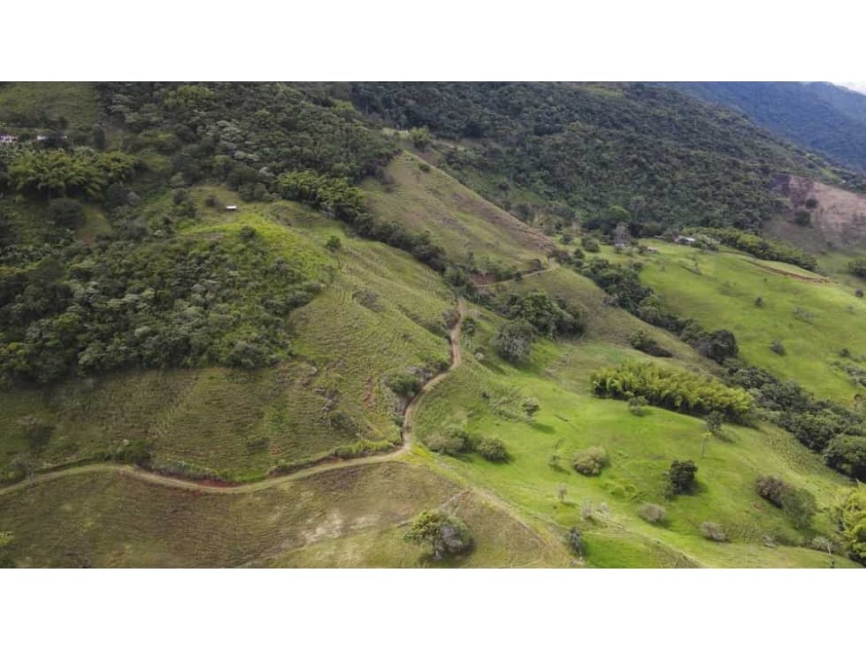 Vendo lote en La Buitrera, Palmira, Valle del Cauca - 1