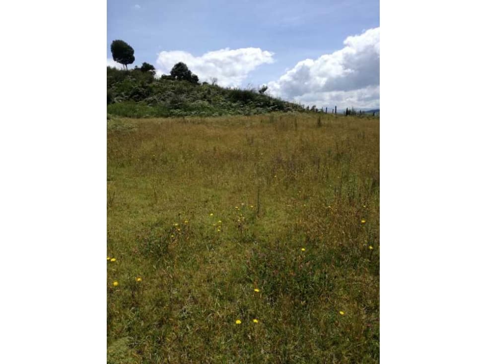 VENDO LOTE RURAL. 12.800 M2. SOBRE LA VIA SECUNDARIA. SOTAQUIRA BOYACA - 1
