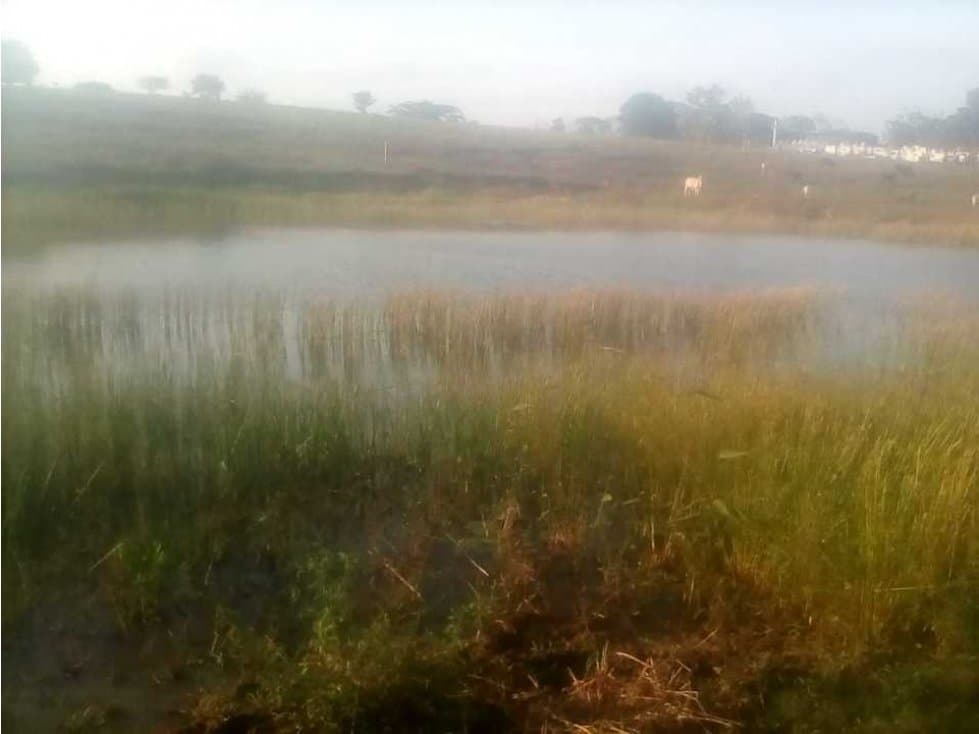 Venta de finca,pantano tierra bonita,Córdoba. - 1