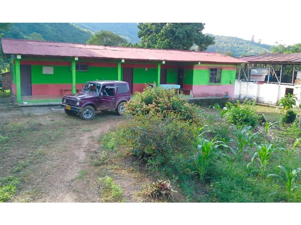 VENTA DE FINCA EN BALBOA RISARALDA 35 CUADRAS - 1