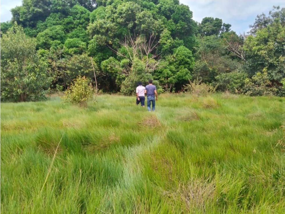 VENTA DE FINCA EN EL ALGARROBO - 1