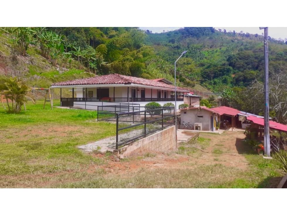 VENTA DE FINCA GANADERA EN PEREIRA RISARALDA VEREDA BALBOA - 1