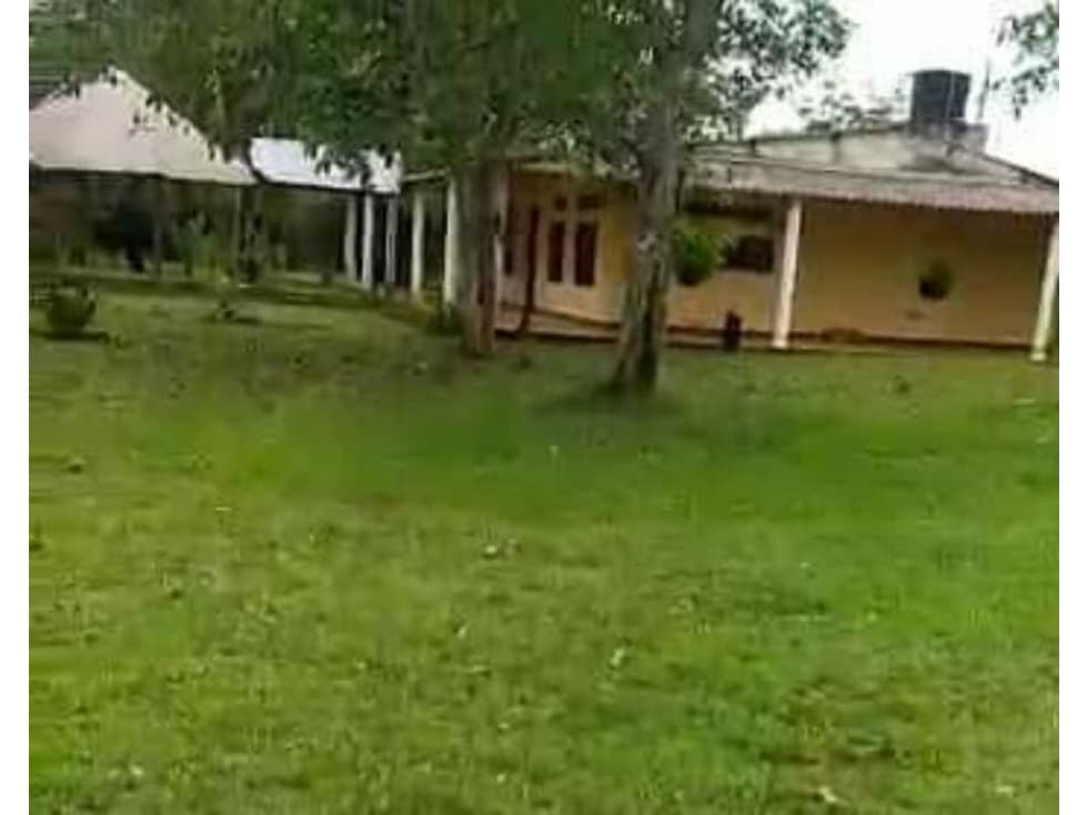 VENTA DE FINCA GANADERA LLANOS ORIENTALES - 1