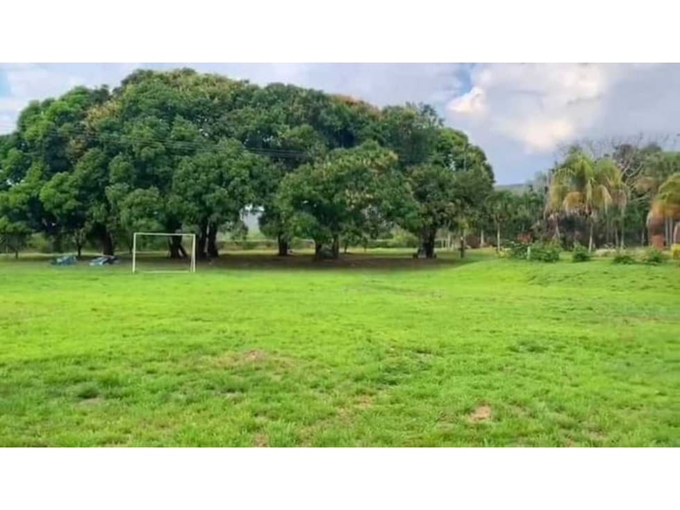 VENTA DE FINCA GANADERA VILLANUEVA LLANO ORIENTALES - 1