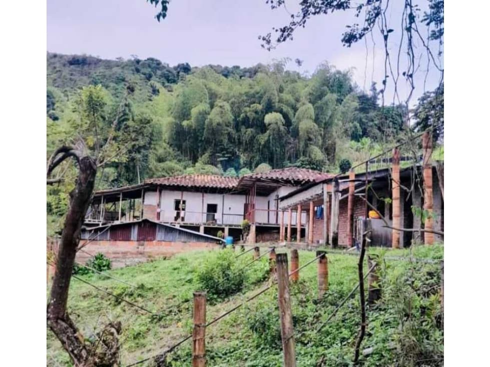 VENTA DE FINCA VIA ANSERMANUEVO - AGUILA VALLE - 1