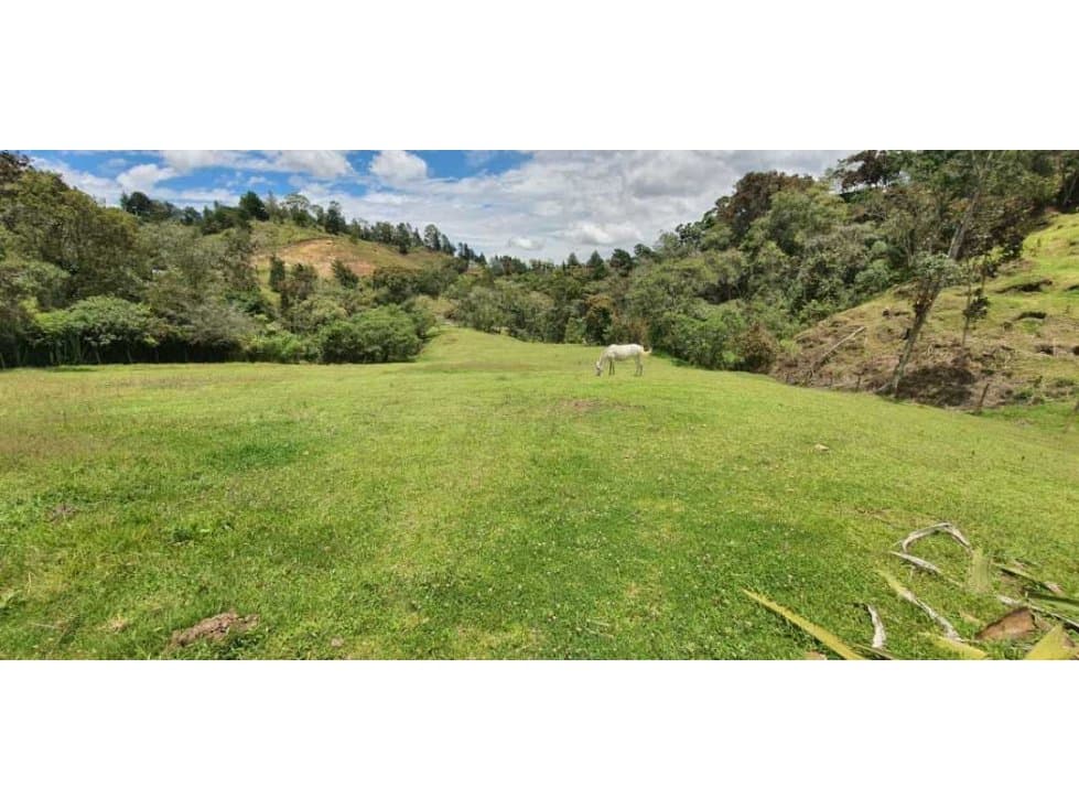 Venta de hermoso lote en el Retiro, Antioquia - 1