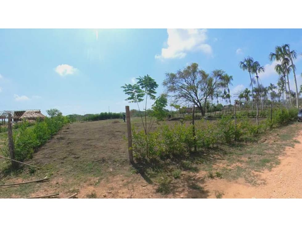 VENTA DE LOTE CAMPESTRE CERCA DE SINCELEJO VIA TOLÚ - 1