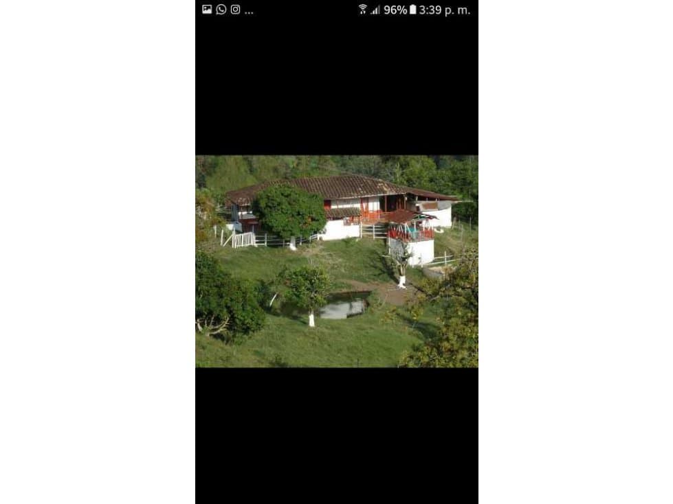 Venta Finca 68 Hectareas Filadelfia Caldas - 1