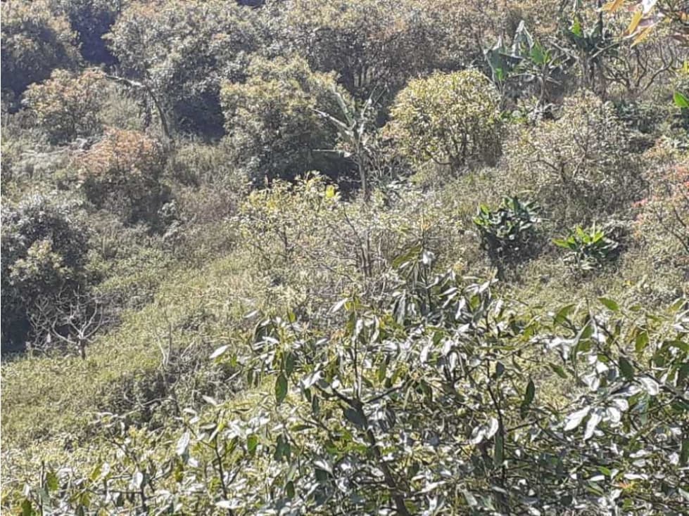 VENTA FINCA EN APIA RISARALDA - 1