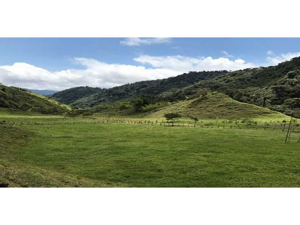 VENTA FINCA EN PUEBLO RICO RISARALDA COLOMBIA - 1