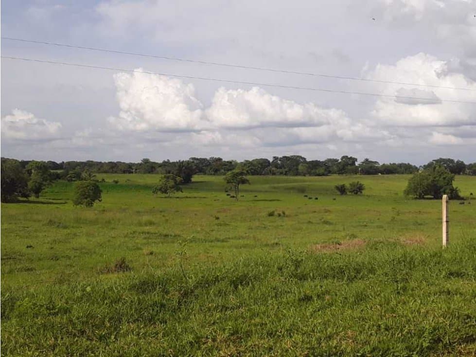 Venta Finca en Sahagun (cienaga de Oro-La Y) - 1