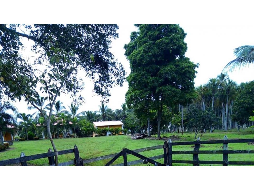 Venta Finca Ganadera y Agricola en Tuchin Cordoba - 1