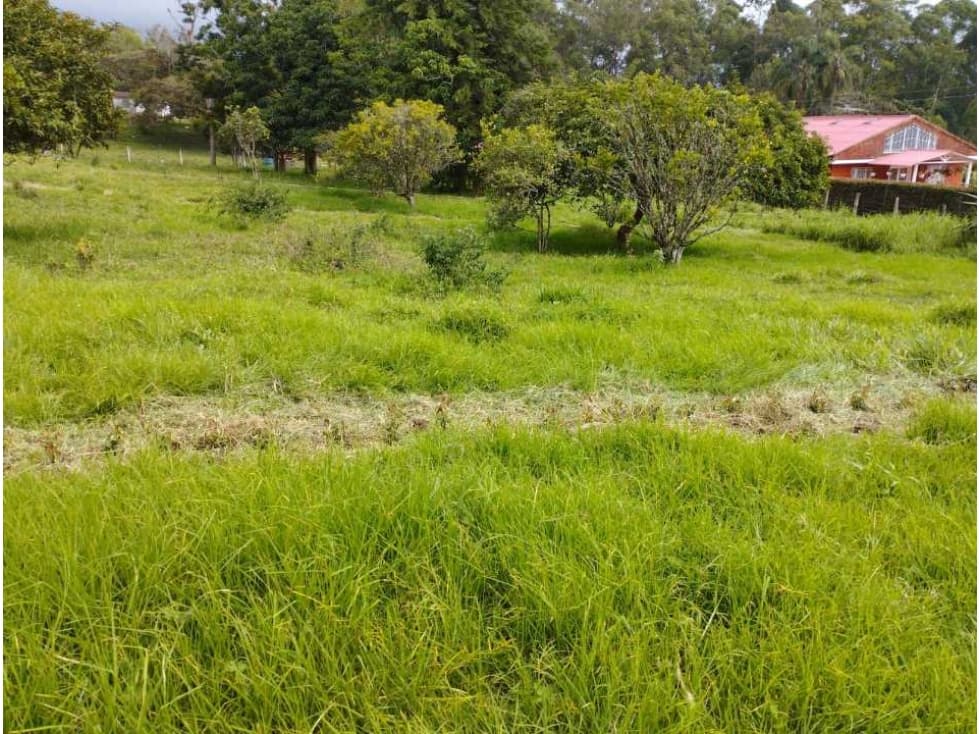 Venta lote plano de 1.000m2 en Pacho Llano la hacienda - 1