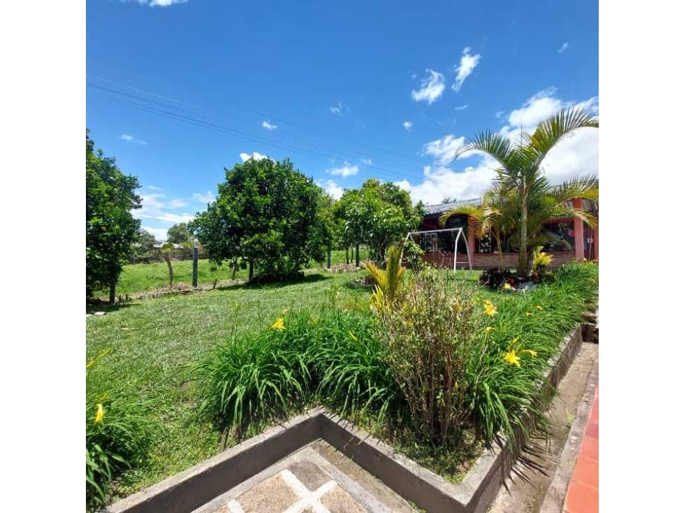 VENTA PARCELA EN VEREDA FLORENCIA - POPAYAN - 1